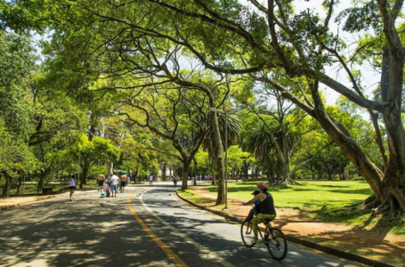 São Paulo: 4 pontos turísticos para conhecer