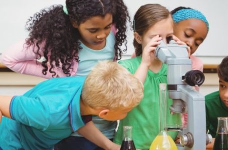 Governo federal lança programa Ciência na Escola
