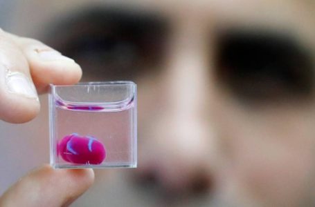Coração é impresso em 3D em Israel a partir de tecido humano