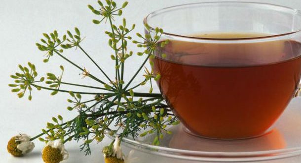 Chá de erva-doce: conheça os benefícios diários que ele traz ao seu corpo
