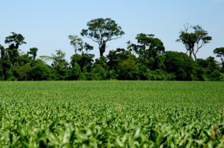 Meio Ambiente e Agricultura participa de evento sobre Inventário de Emissões de Gases de Efeito Estufa