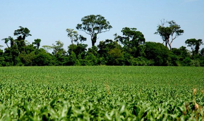 Meio Ambiente e Agricultura participa de evento sobre Inventário de Emissões de Gases de Efeito Estufa