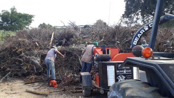 Trituração de galhos em Cabreúva beneficia o meio ambiente