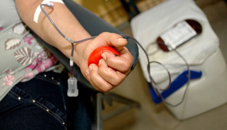 Ministério da Saúde reforça necessidade da doação de sangue no frio