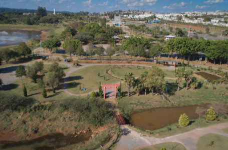 Parque da Cidade recebe atividades gratuitas pelo Circuito Cultural