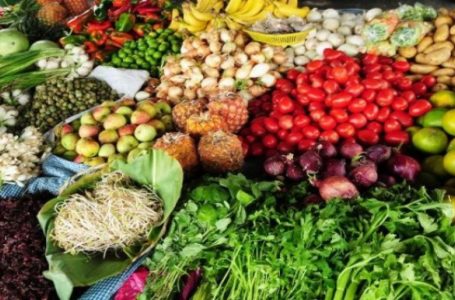 Preços de frutas e hortaliças ficaram mais baratos em junho, de acordo com a Conab