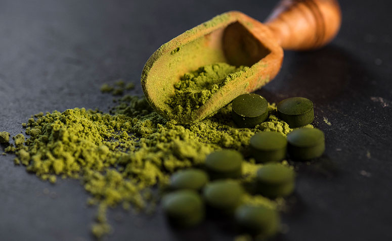 Chlorella: nutrientes essenciais para o bom funcionamento do organismo