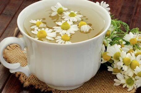 Chá de camomila combate a ansiedade? Esclareça essa e outras dúvidas