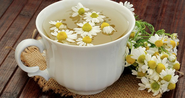 Chá de camomila combate a ansiedade? Esclareça essa e outras dúvidas