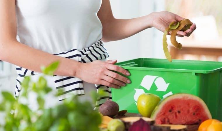 Prefeitura de SP lança programa de combate ao desperdício de alimentos