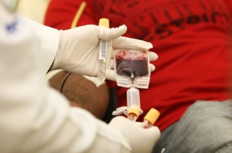 Estudantes recebem prêmio por aplicativo que estimula doação de sangue