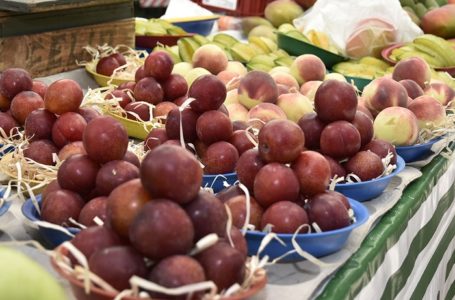 Curso de processamento de frutas está com inscrições abertas em Jundiaí