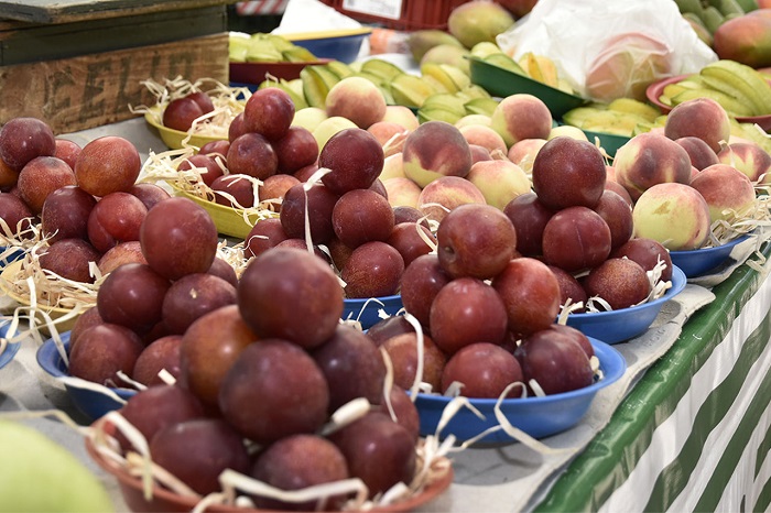 Curso de processamento de frutas está com inscrições abertas