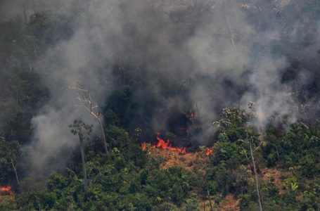 Países da América do Sul se mobilizam contra incêndios florestais