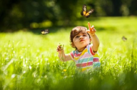 Contato com a natureza deixa crianças mais calmas e bem-comportadas