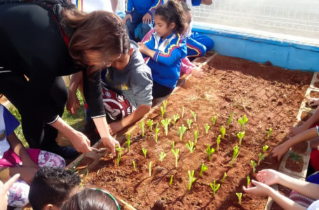 Plantio de árvores e cultivo de horta é desenvolvido em escolas de Itupeva