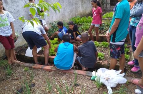 Oficinas do CRAS plantam sementes de cidadania em Cabreúva