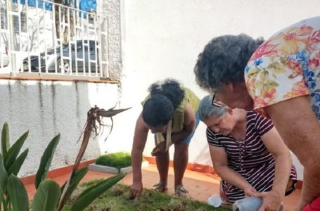 CAPS de Cabreúva realiza plantio em homenagem ao Setembro Amarelo