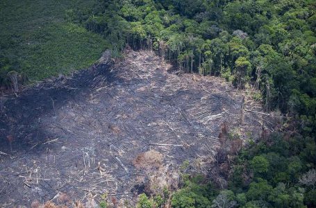 Focos de incêndio na Amazônia caíram 16% em setembro