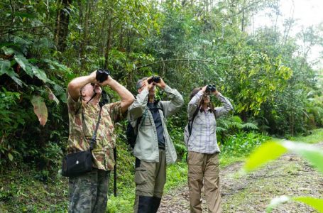 Turismo de conservação promove melhorias ambientais e socioeconômicas