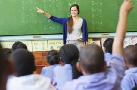 Da educação à sensibilização: por que devemos celebrar os professores no dia deles