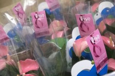 Mulheres que fizerem os exames de mamografia receberão antúrios rosas no Hospital de Amor
