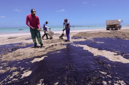 Governo define defeso adicional em áreas atingidas por óleo