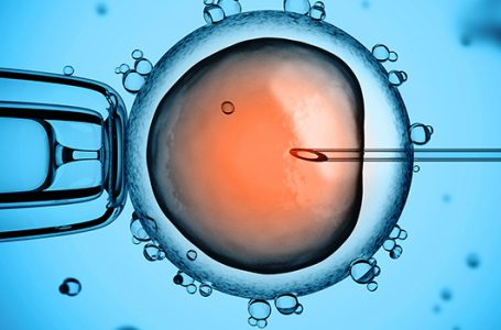 Mitos e verdades sobre a fertilização in vitro