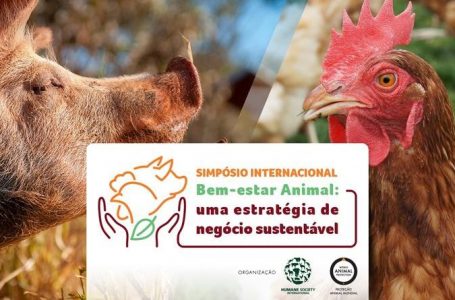Proteção Animal Mundial e Humane Society International promovem Simpósio Internacional de Bem-estar Animal em São Paulo, nos dias 18 e 19 de novembro