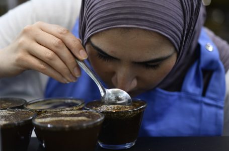 A força da mulher no setor do café