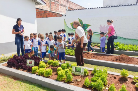 Estudantes da Creche Municipal Neide Maria Viguetti Checchinato visitam Centro de Educação Ambiental de Itupeva