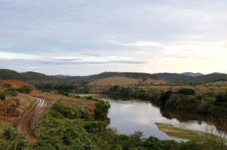 Reflorestamento na bacia do Rio Doce usa mudas de pequenos produtores