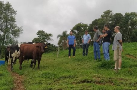 Com ajuda da Prefeitura, agricultor inova produção de leite em Cabreúva