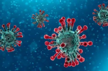 Coronavirus: O que você precisa saber sobre a doença.