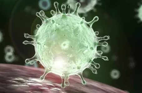 Coronavírus é preocupação no mundo e aumenta necessidade de prevenção