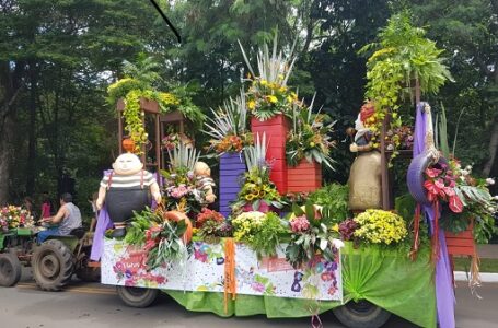 Carnaval de Holambra tem carros alegóricos com flores e distribuição de rosas e sorvetes