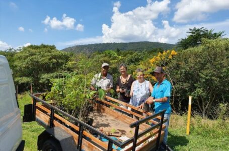 Prefeitura doa 50 mudas de árvore para Centro de Meditação em Cabreúva