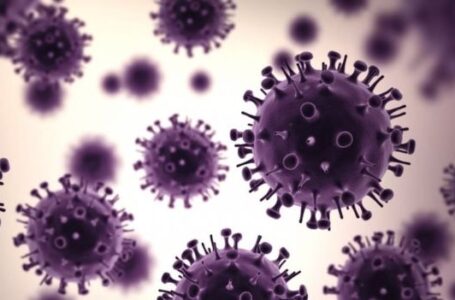 Como o Brasil foi afetado pela pandemia de H1N1, a 1ª do século 21?