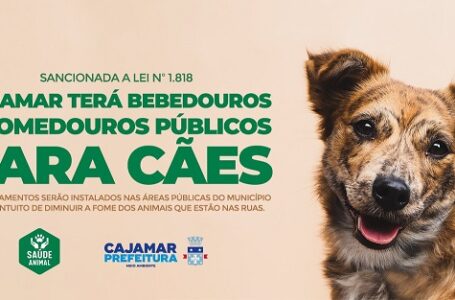 Cajamar terá bebedouros e comedouros públicos para cães