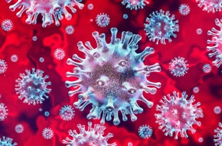 Coronavírus: testes rápidos serão incluídos no boletim oficial em Cabreúva