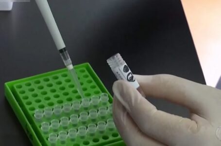 Vacina contra covid vai para 2ª fase de testes, autoriza FDA