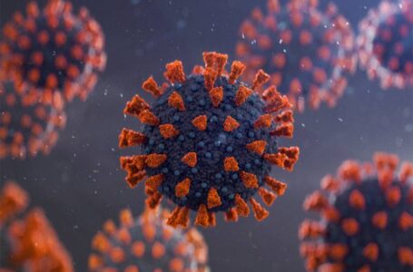 Novo coronavírus perde potência e fica menos letal, diz médico italiano