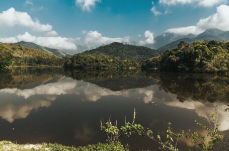 Projeto Guapiaçu lança trilha virtual na Semana do Meio Ambiente