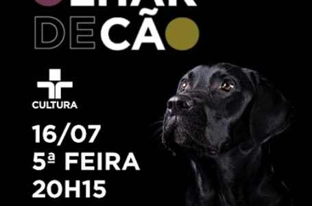 Documentário Olhar de Cão traz entrevista com Thays Martinez, ativista pelos direitos da pessoa com deficiência