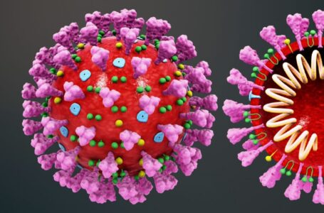 Coronavírus em Jundiaí (9/07/2020)