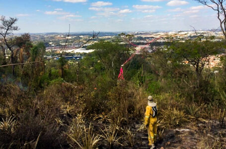 Bombeiros e Prefeitura combatem incêndios na mata da região do Inhandjara em Itupeva
