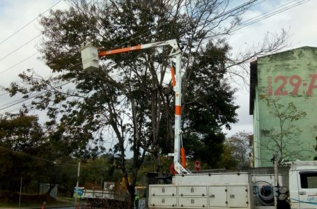 Prefeitura intensifica remoção de árvores que ameaçam transmissão de energia em Jundiaí
