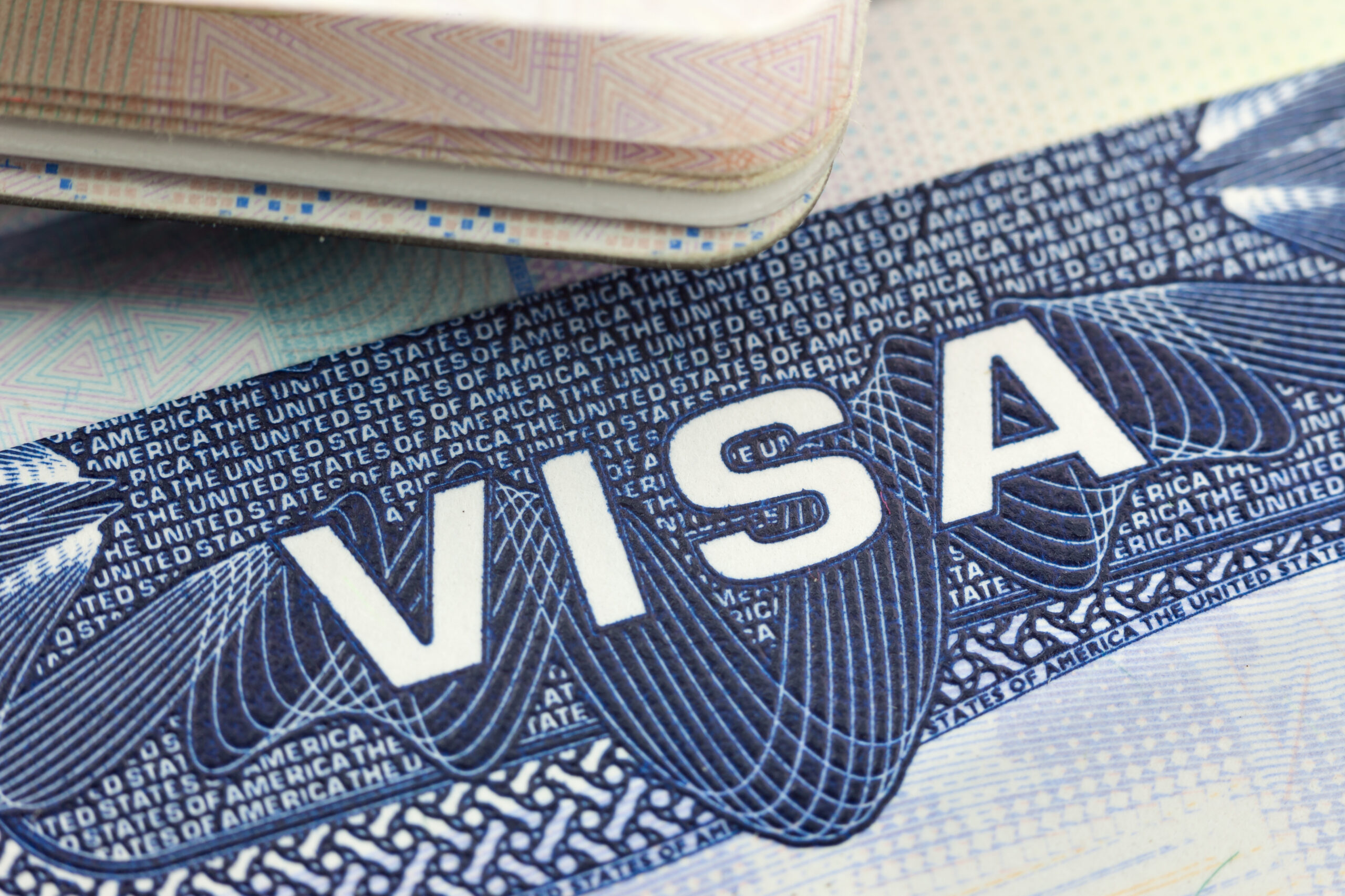 Saiba como escolher o melhor negócio para aplicação de vistos