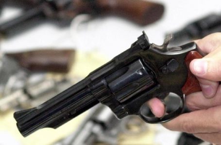 PF formaliza autorização para cidadão comprar até 4 armas
