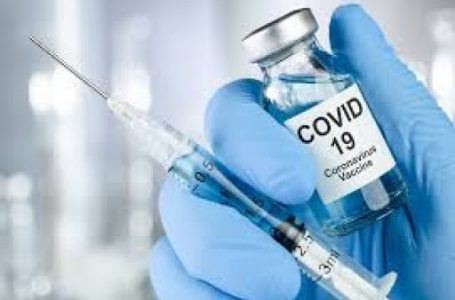 SP vai receber 15 milhões de doses da vacina chinesa contra Covid-19 já no fim de 2020, diz diretor do Butantan